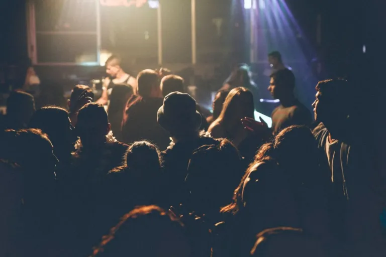 Publiek bij een concert in een donkere zaal, alleen verlicht door het podiumlicht