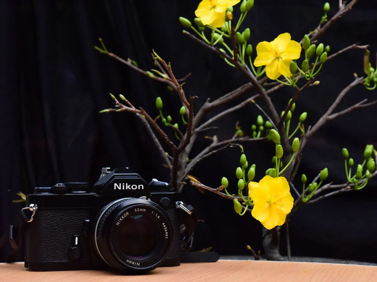 Klassieke analoge Nikon-camera naast een tak met gele bloemen tegen een donkere achtergrond